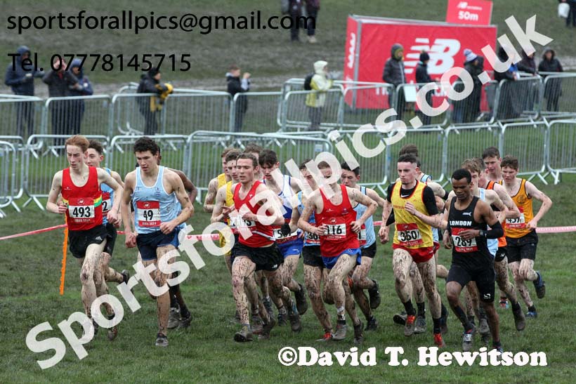 Senior boys 2019 New Balance English Schools Cross Country Champs, Temple Newsam, Leeds. Photo:  David T. Hewitson/Sports for All Pics